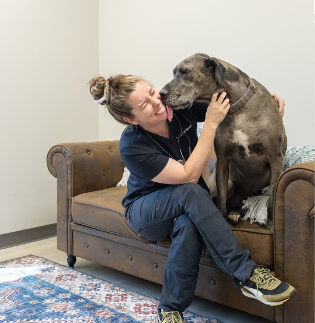 two Vet staff affectionately examining a dog