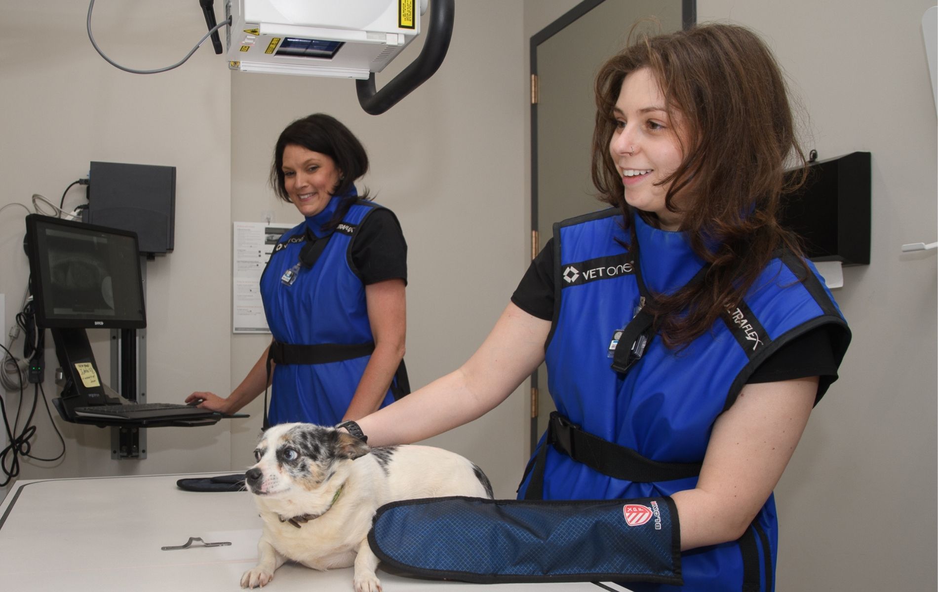 A dog looking at an x-ray