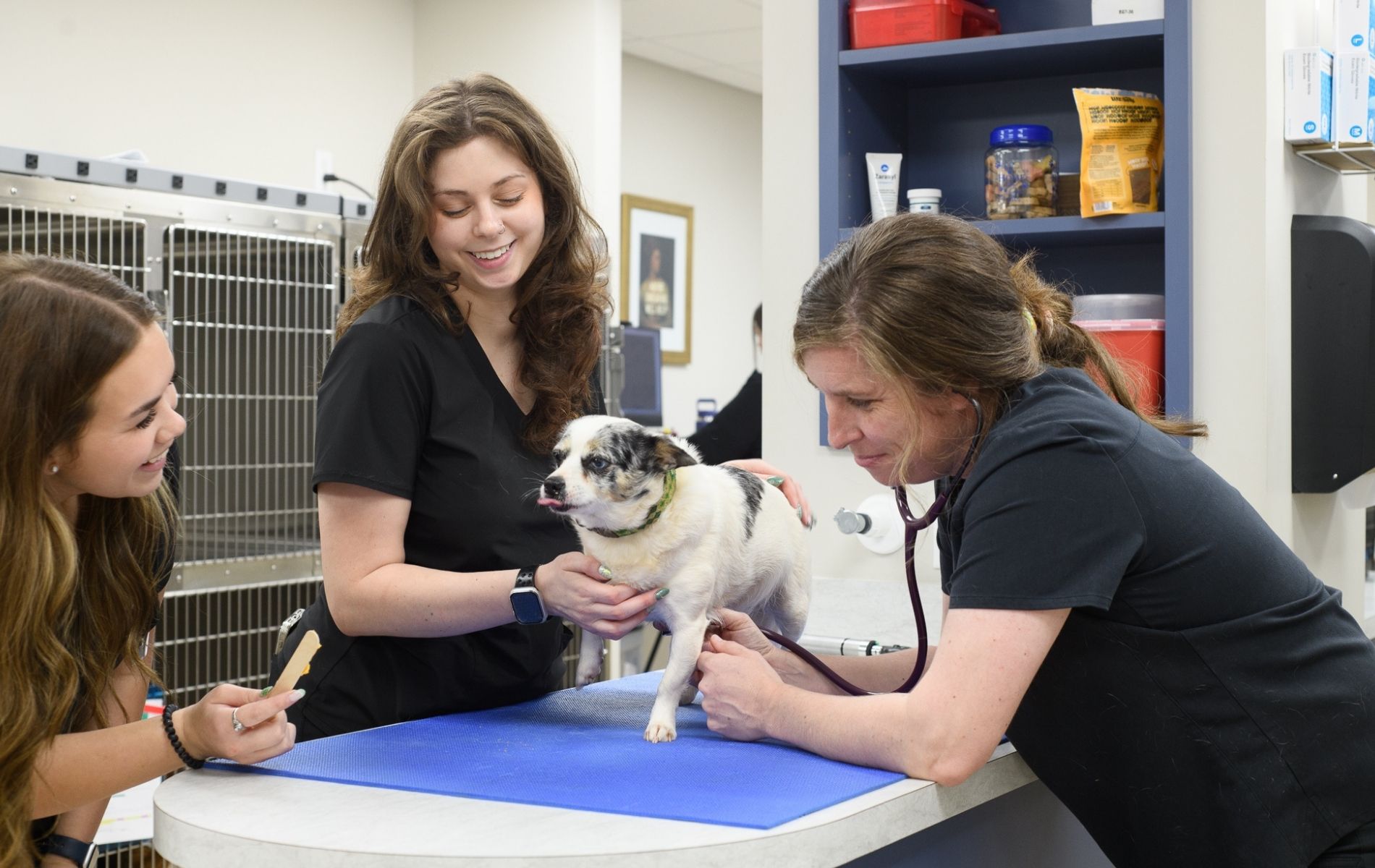 A person holding a dog and a cat