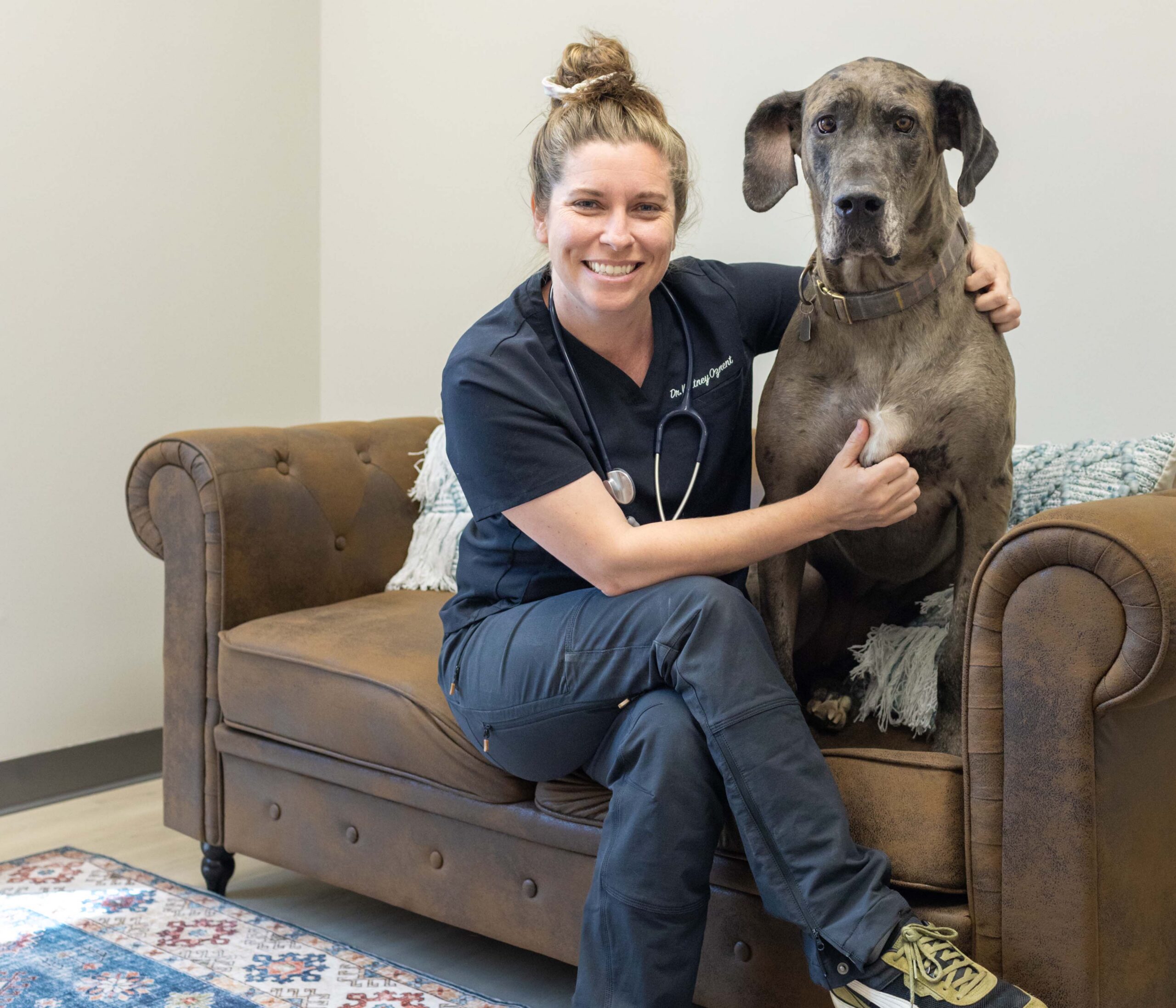 vet with dog